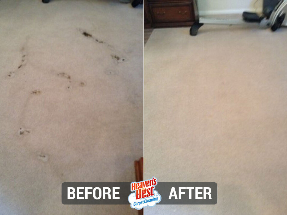 Heaven's Best Carpet Cleaning of Rio Rancho ABQ