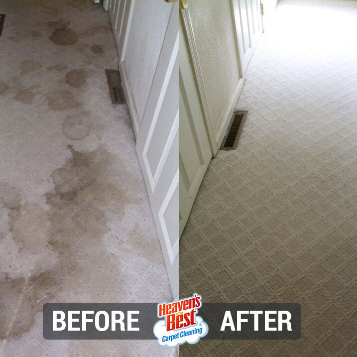 Heaven's Best Carpet Cleaning of Rio Rancho ABQ